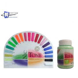 Acrilico rápido NICTONE 90g – por color