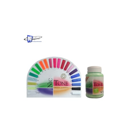 Acrilico rápido NICTONE 90g – por color